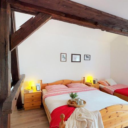 Pension U Sebastiana Hodousice Номер фото