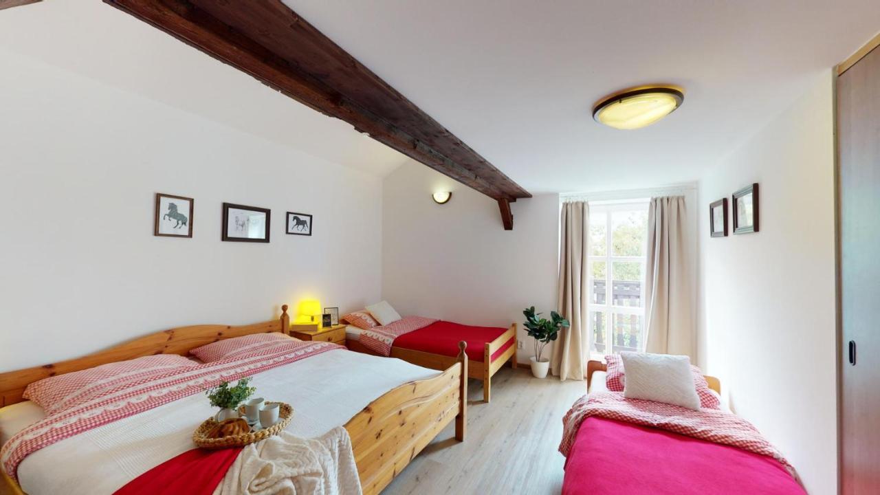 Pension U Sebastiana Hodousice Экстерьер фото
