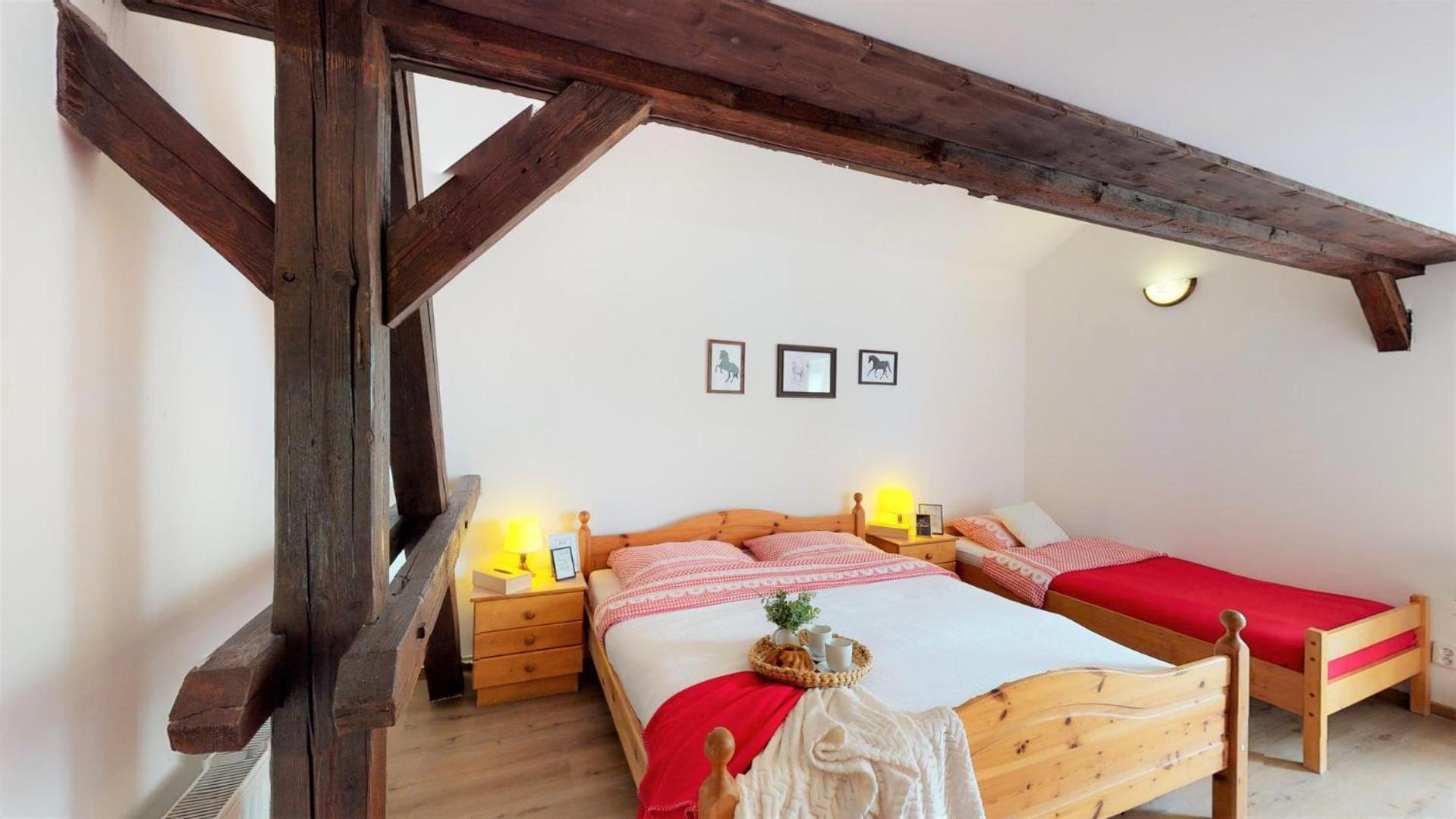 Pension U Sebastiana Hodousice Номер фото